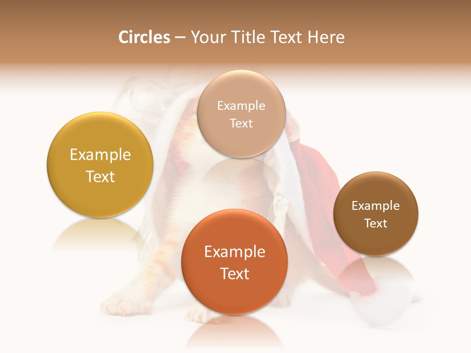 Kitten Mammal Xmas PowerPoint Template