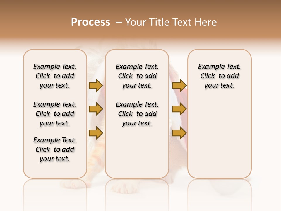 Kitten Mammal Xmas PowerPoint Template