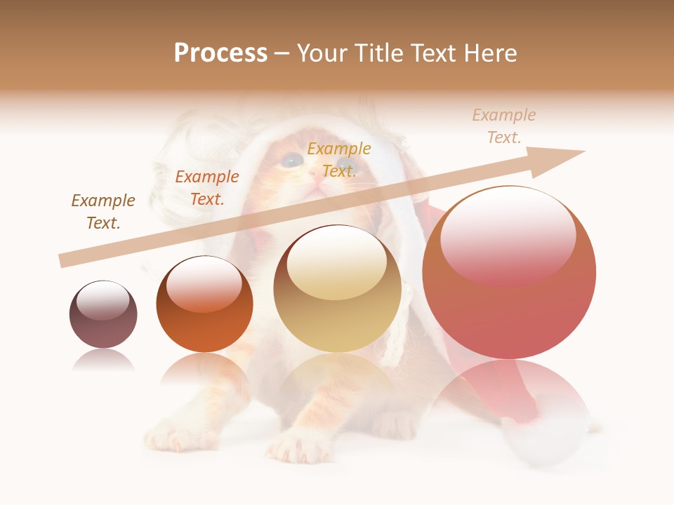 Kitten Mammal Xmas PowerPoint Template