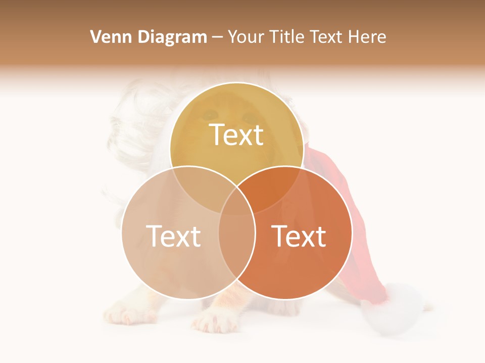 Kitten Mammal Xmas PowerPoint Template