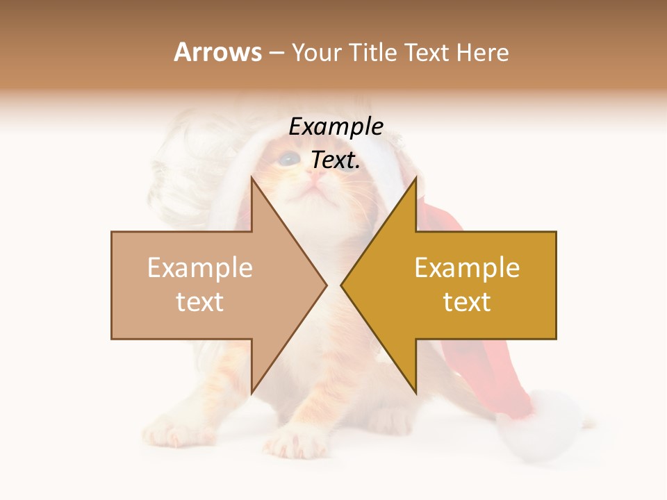 Kitten Mammal Xmas PowerPoint Template