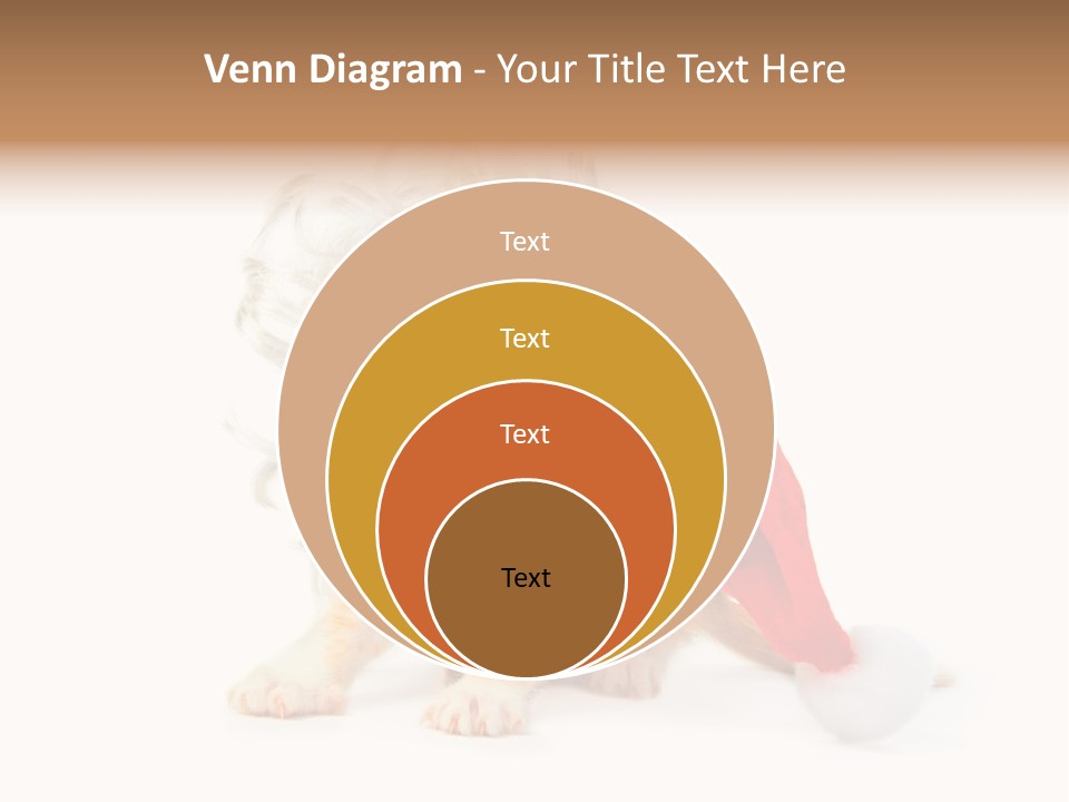 Kitten Mammal Xmas PowerPoint Template