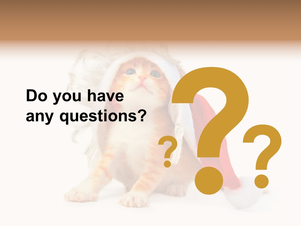 Kitten Mammal Xmas PowerPoint Template