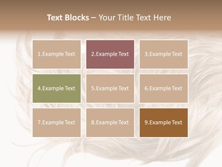 Wavy Lock Hairdresser PowerPoint Template