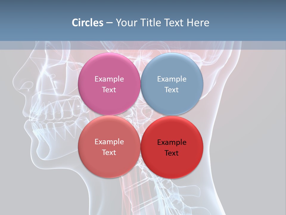 Science Physiology Xray PowerPoint Template