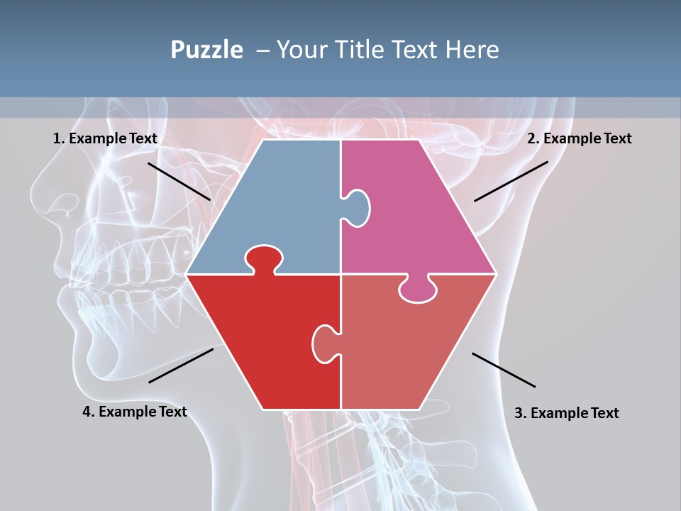 Science Physiology Xray PowerPoint Template