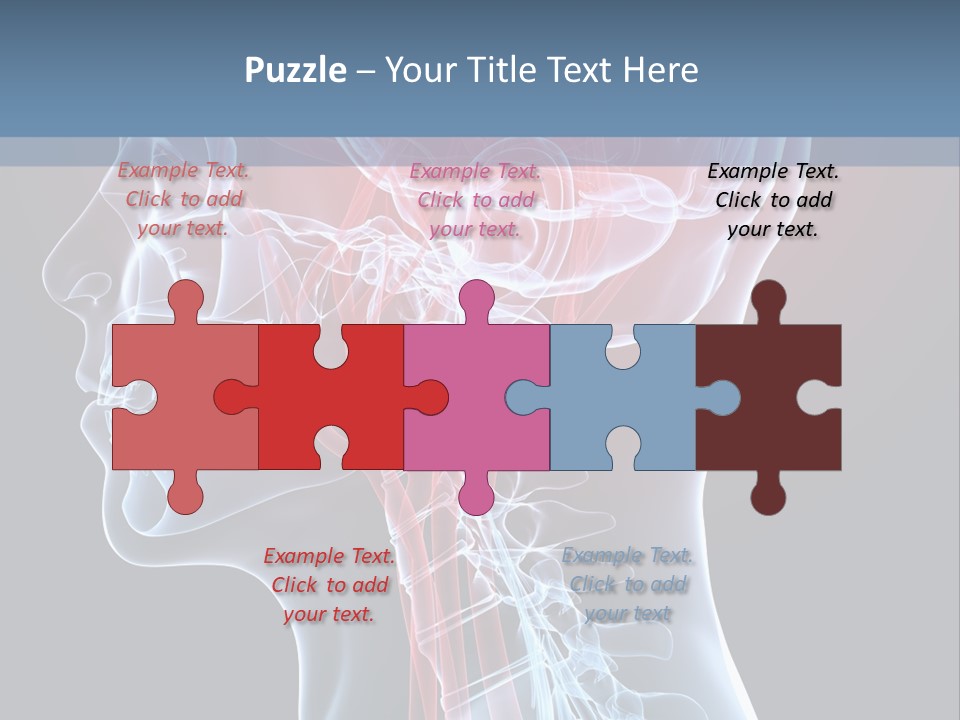 Science Physiology Xray PowerPoint Template