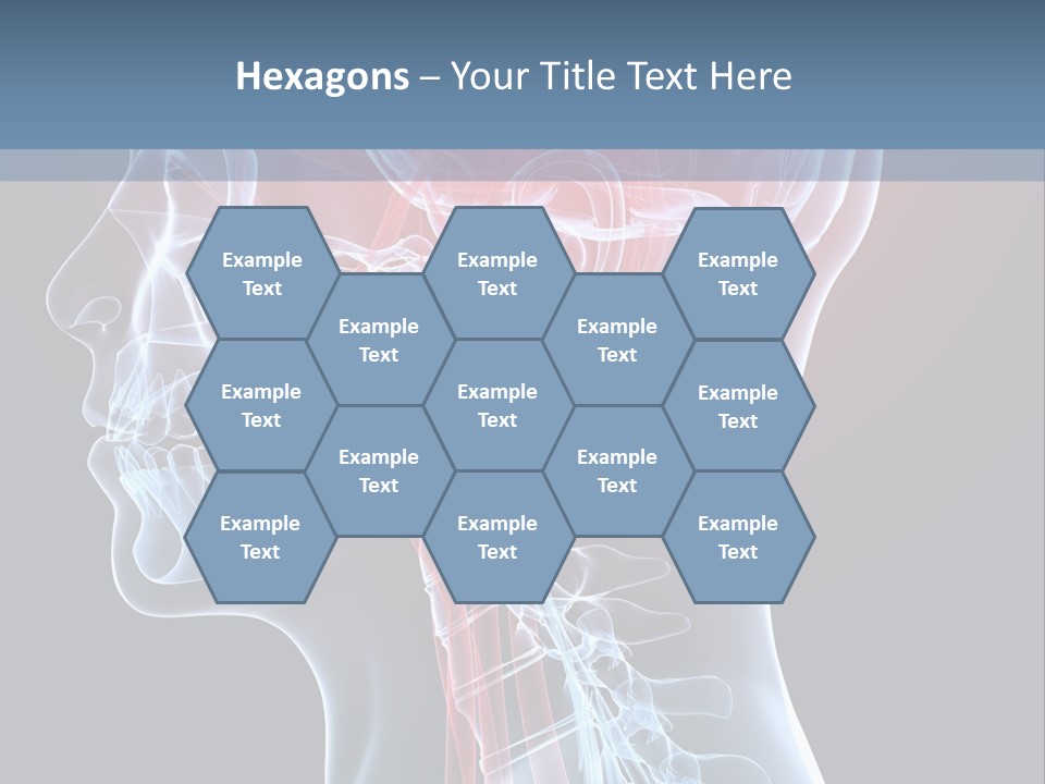 Science Physiology Xray PowerPoint Template