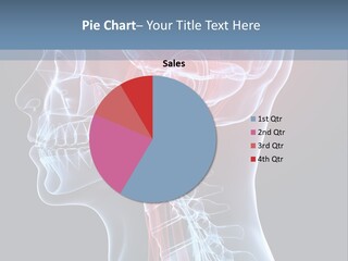 Science Physiology Xray PowerPoint Template