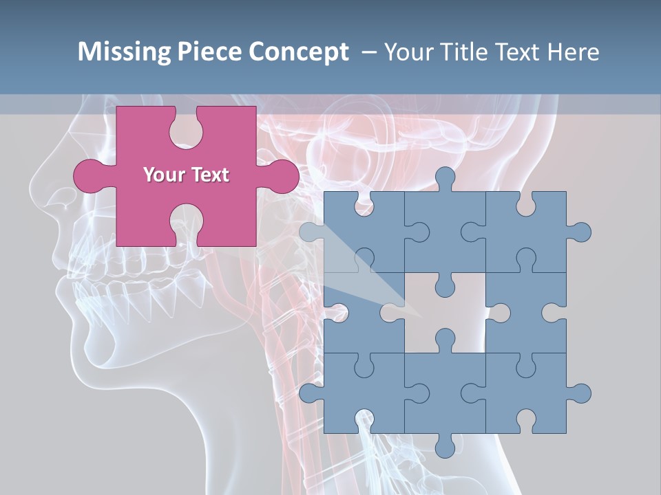 Science Physiology Xray PowerPoint Template