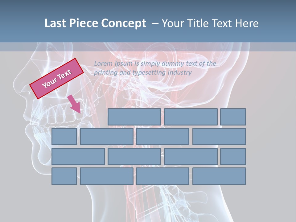 Science Physiology Xray PowerPoint Template