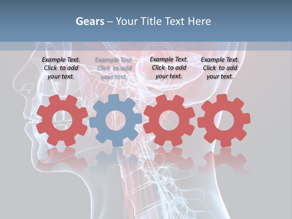 Science Physiology Xray PowerPoint Template