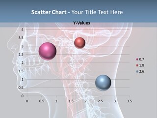 Science Physiology Xray PowerPoint Template