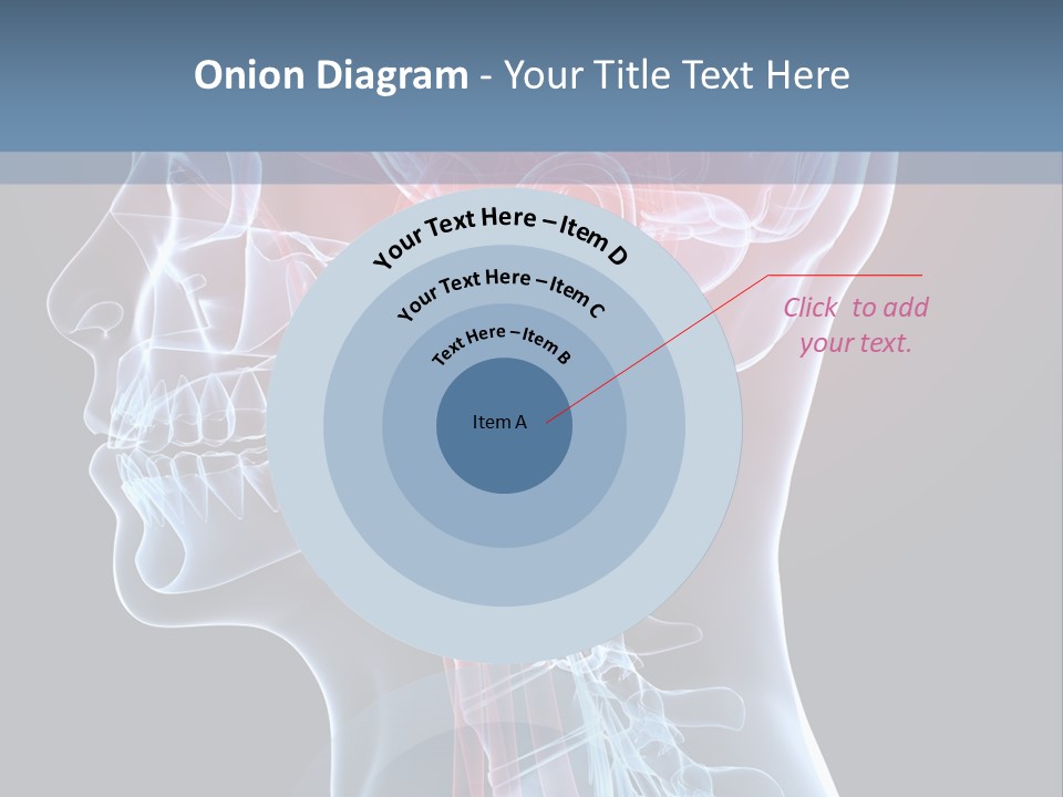 Science Physiology Xray PowerPoint Template