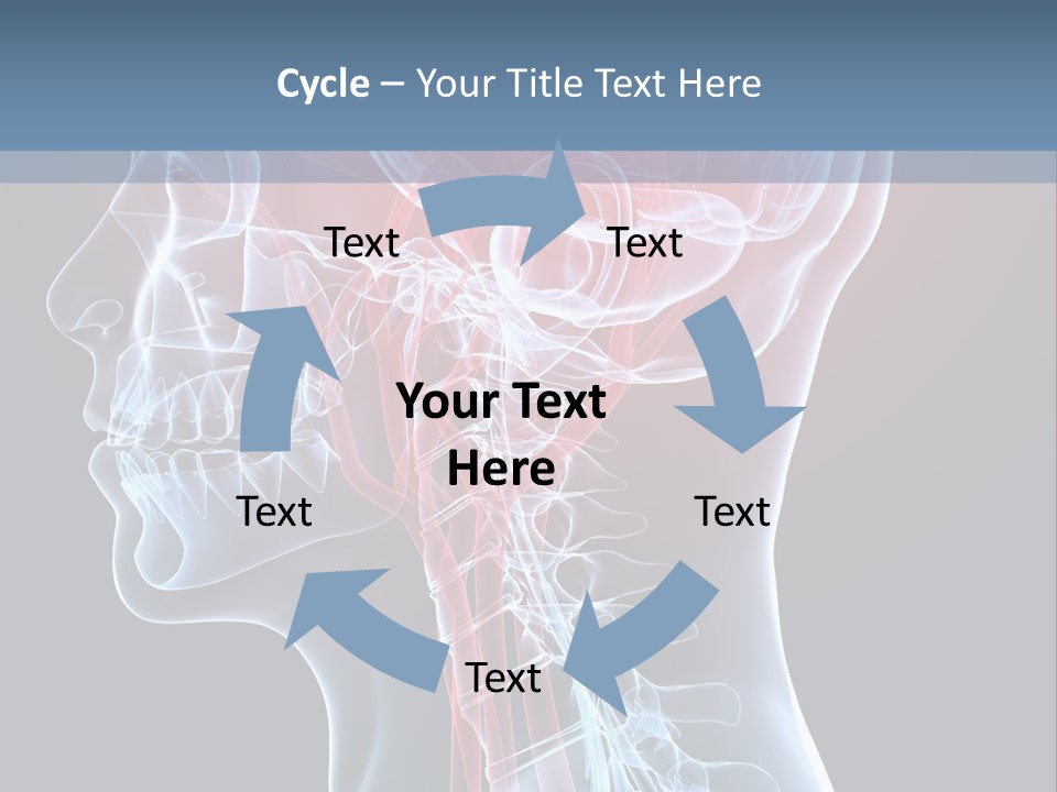 Science Physiology Xray PowerPoint Template