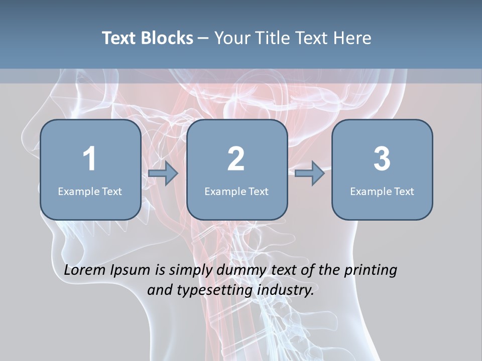 Science Physiology Xray PowerPoint Template