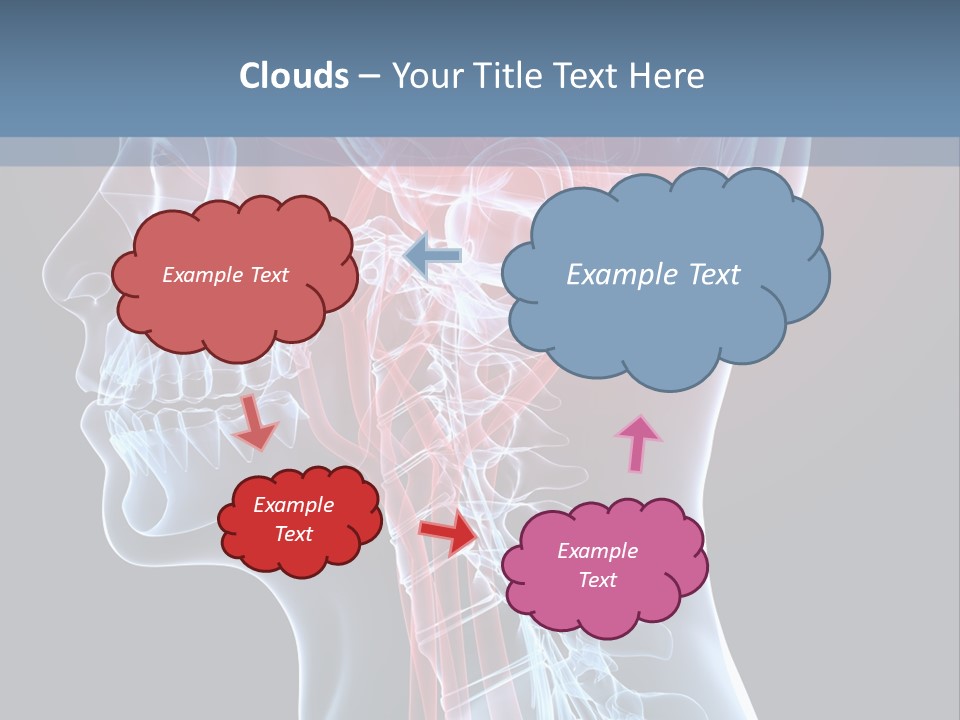 Science Physiology Xray PowerPoint Template