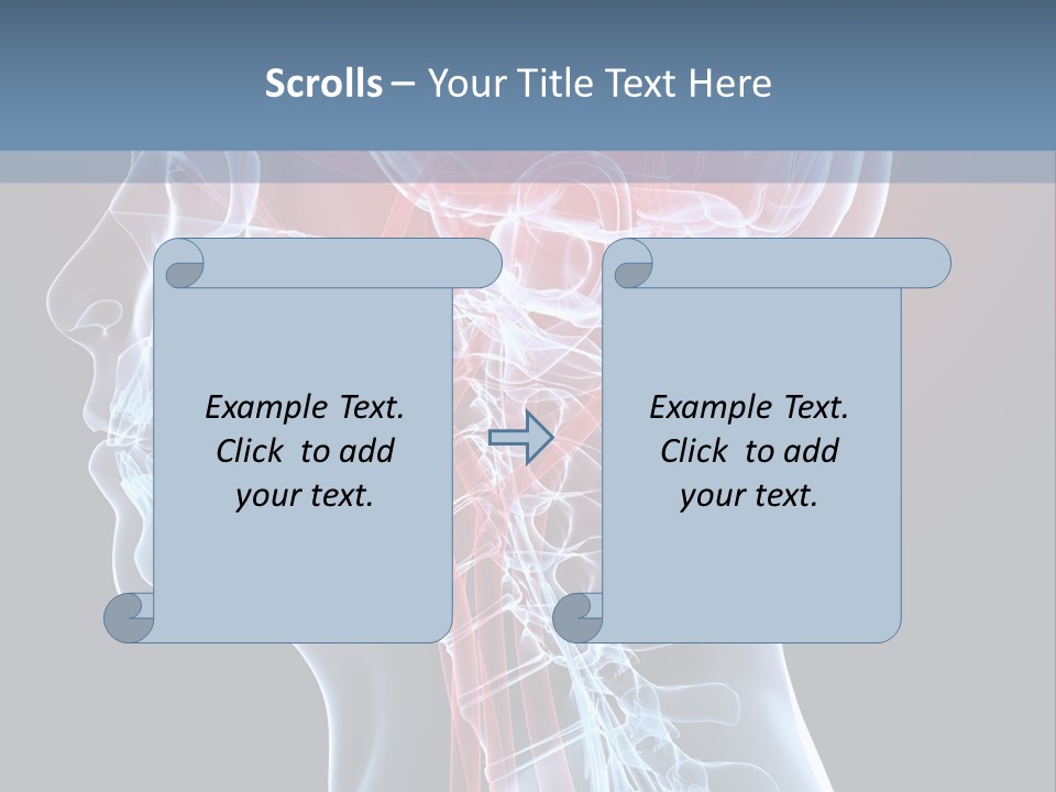 Science Physiology Xray PowerPoint Template