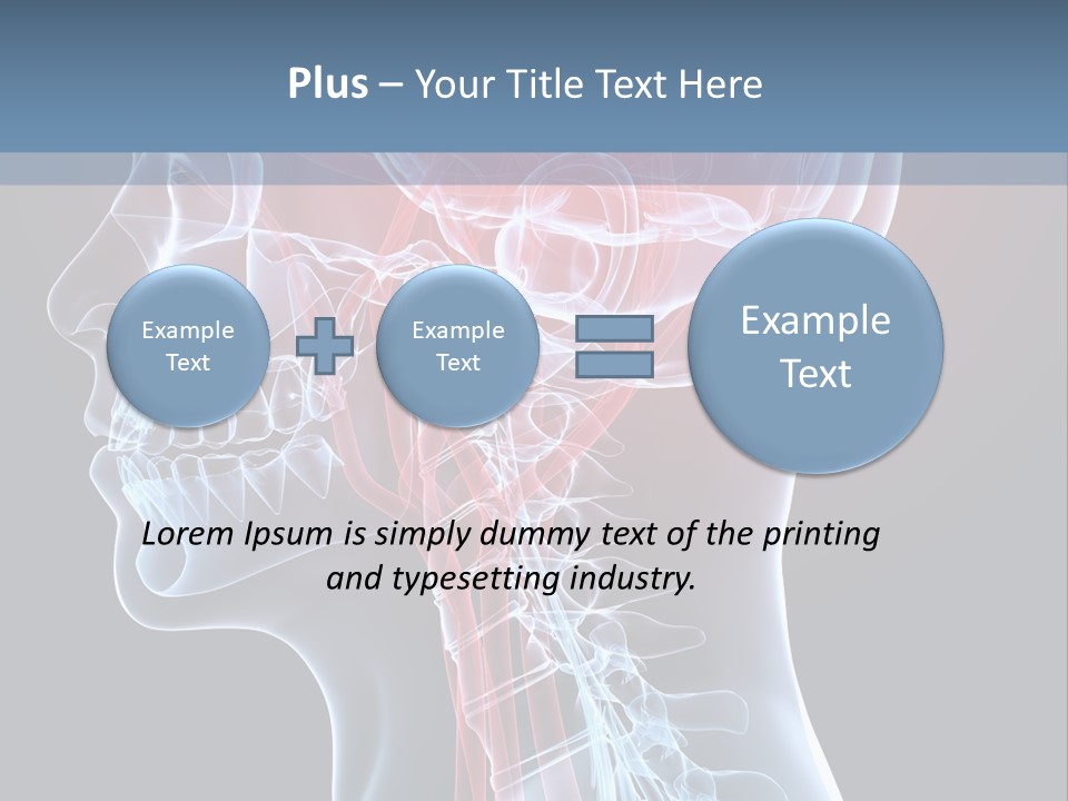 Science Physiology Xray PowerPoint Template