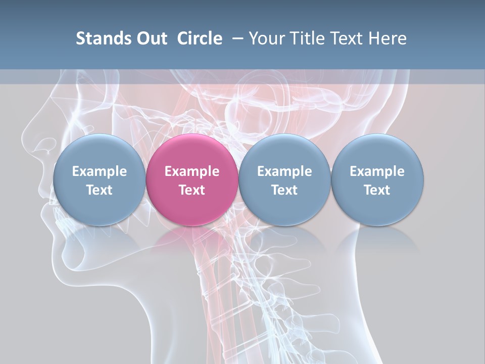 Science Physiology Xray PowerPoint Template