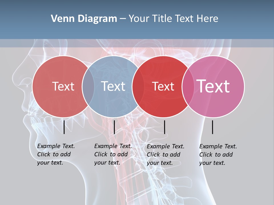 Science Physiology Xray PowerPoint Template