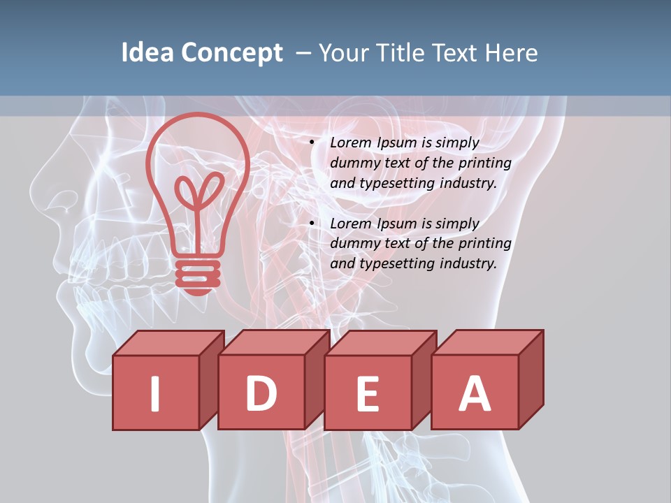 Science Physiology Xray PowerPoint Template