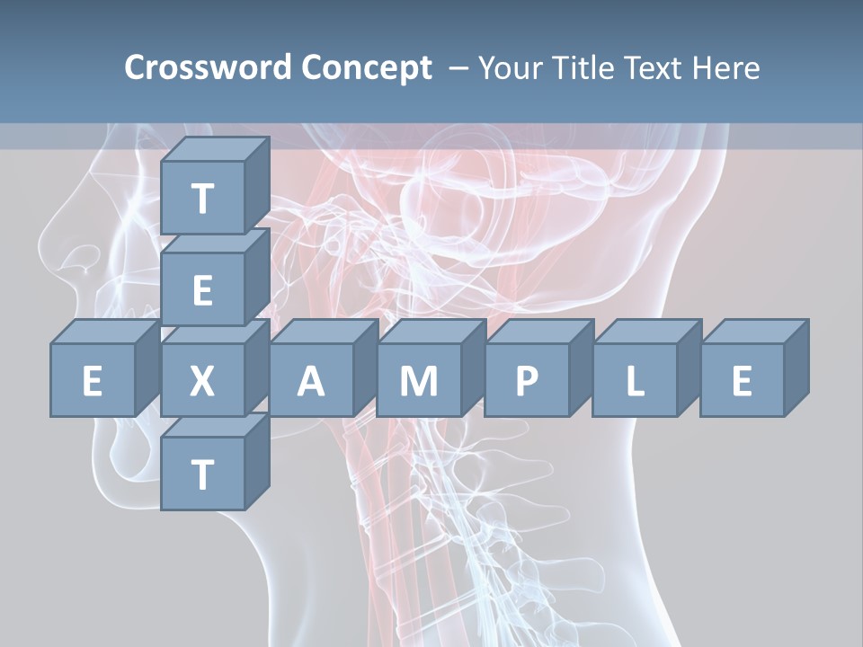 Science Physiology Xray PowerPoint Template