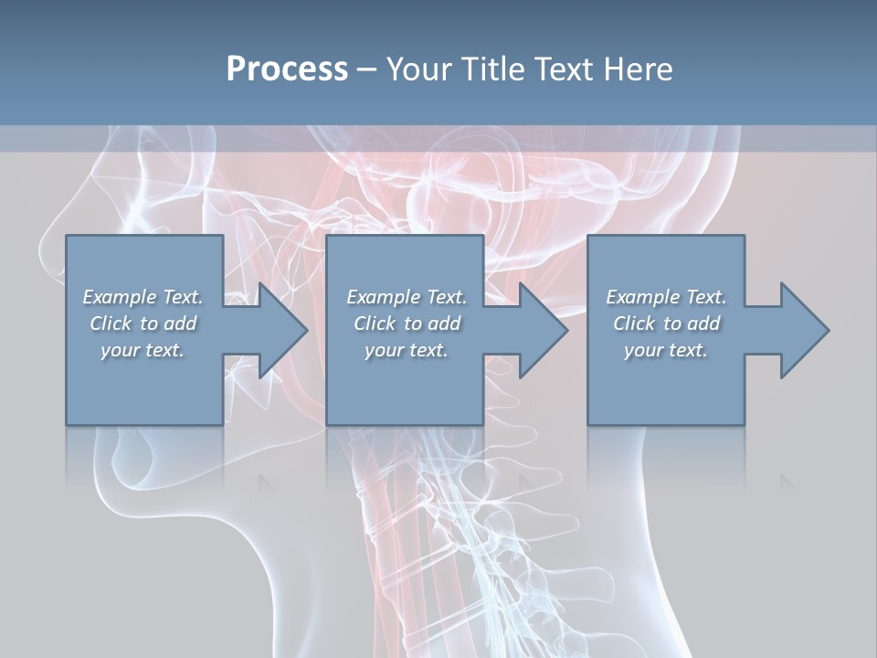 Science Physiology Xray PowerPoint Template