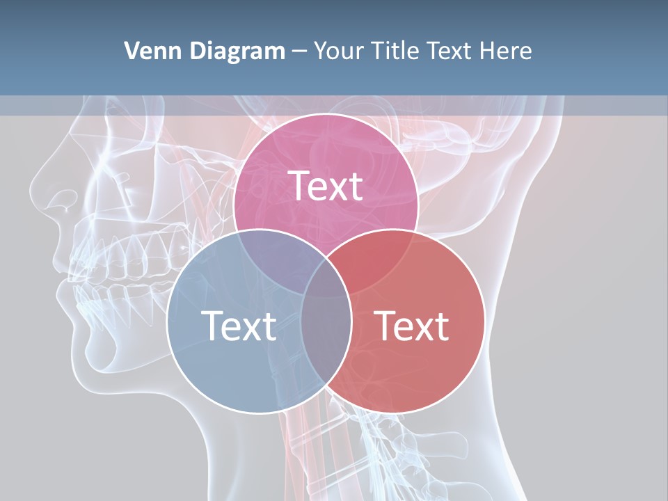 Science Physiology Xray PowerPoint Template