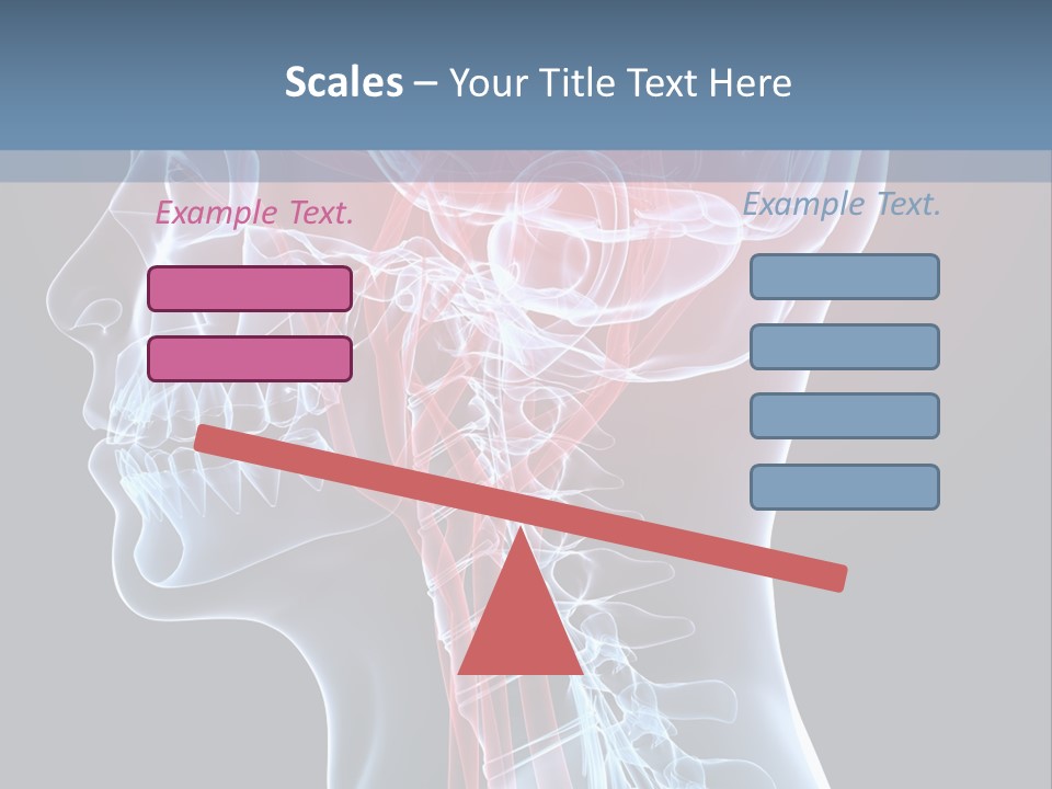 Science Physiology Xray PowerPoint Template
