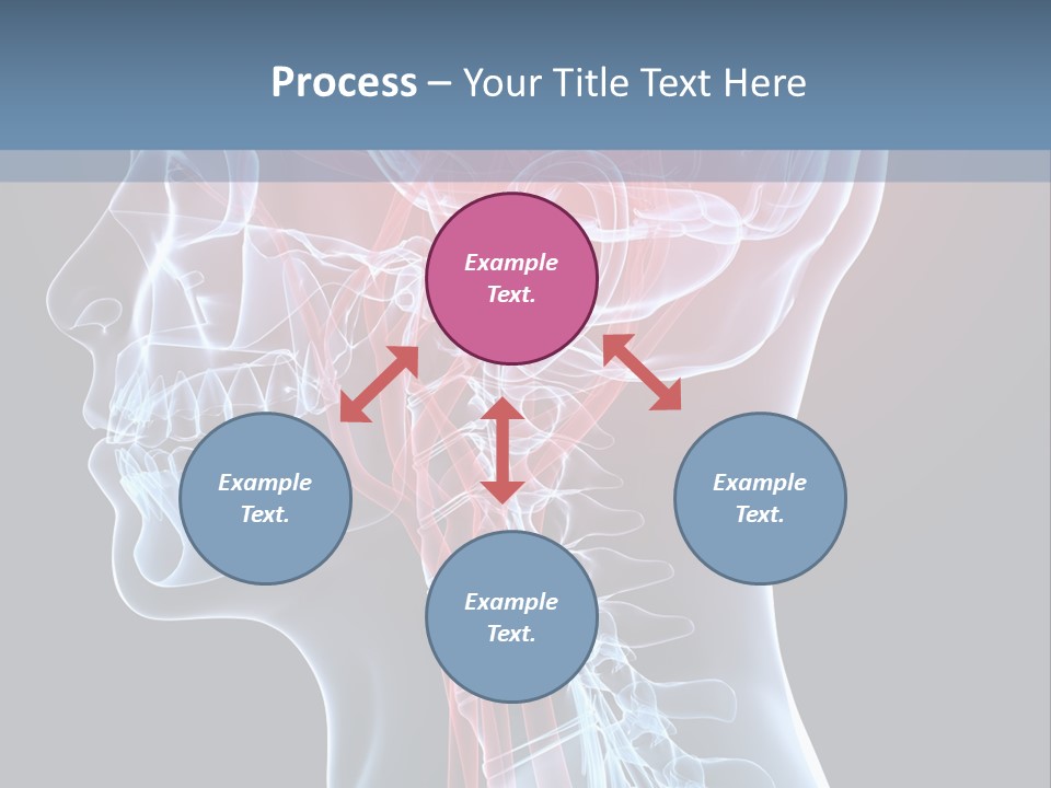 Science Physiology Xray PowerPoint Template