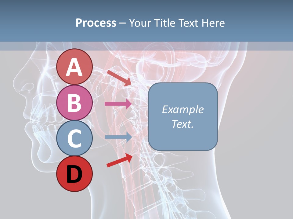 Science Physiology Xray PowerPoint Template