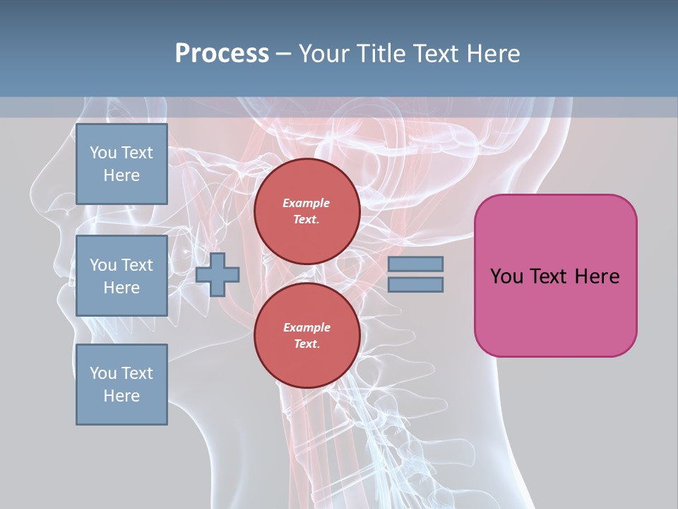 Science Physiology Xray PowerPoint Template