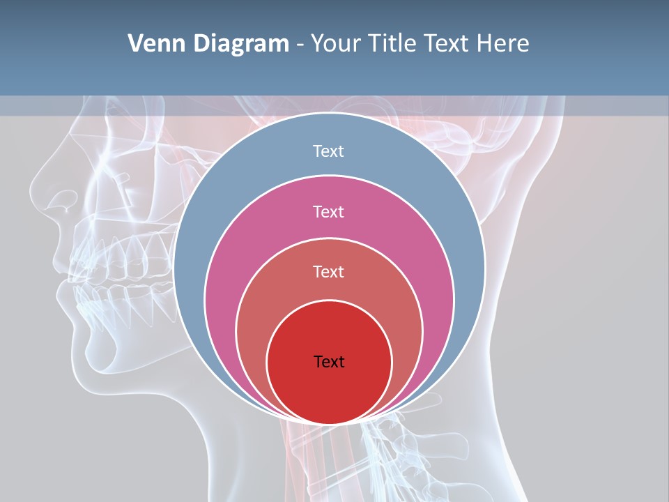 Science Physiology Xray PowerPoint Template