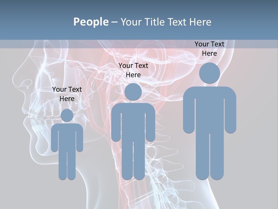 Science Physiology Xray PowerPoint Template