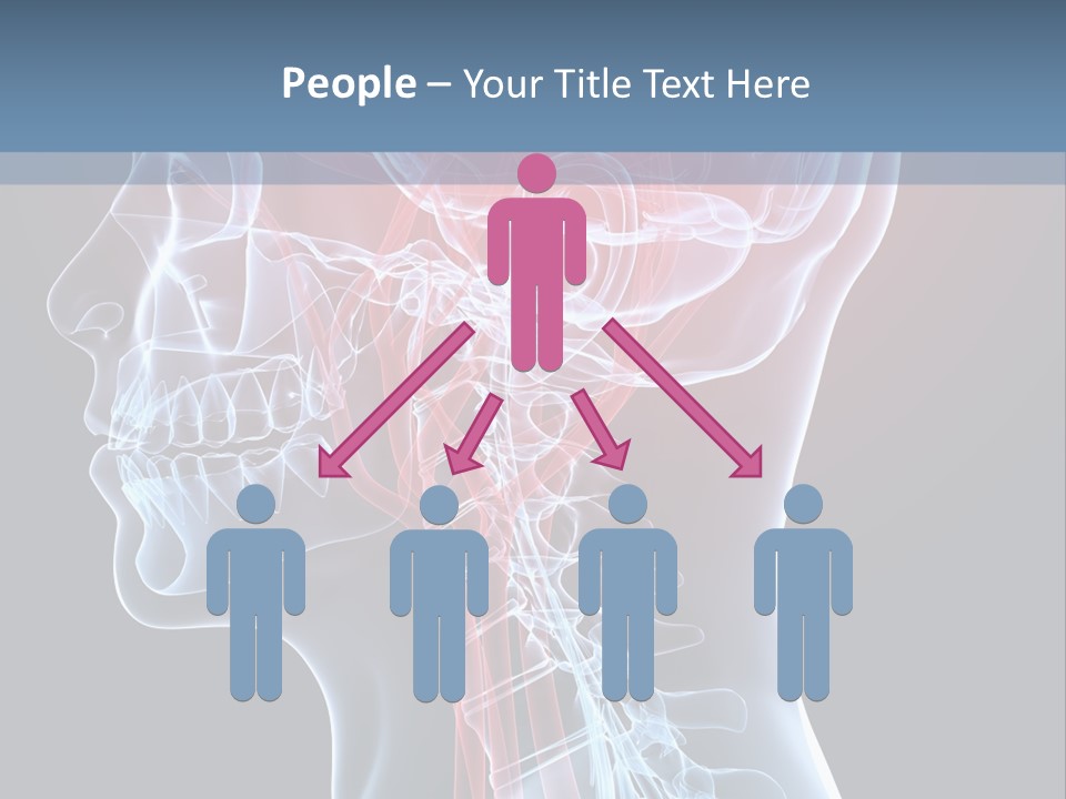 Science Physiology Xray PowerPoint Template