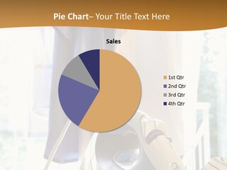 Wire White Cleaners PowerPoint Template