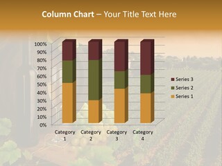 Leaves Evening Composition PowerPoint Template