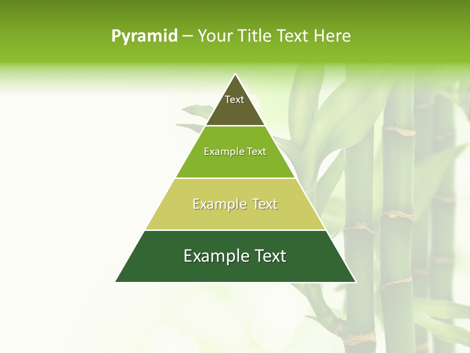 Japanese Asia Tree PowerPoint Template