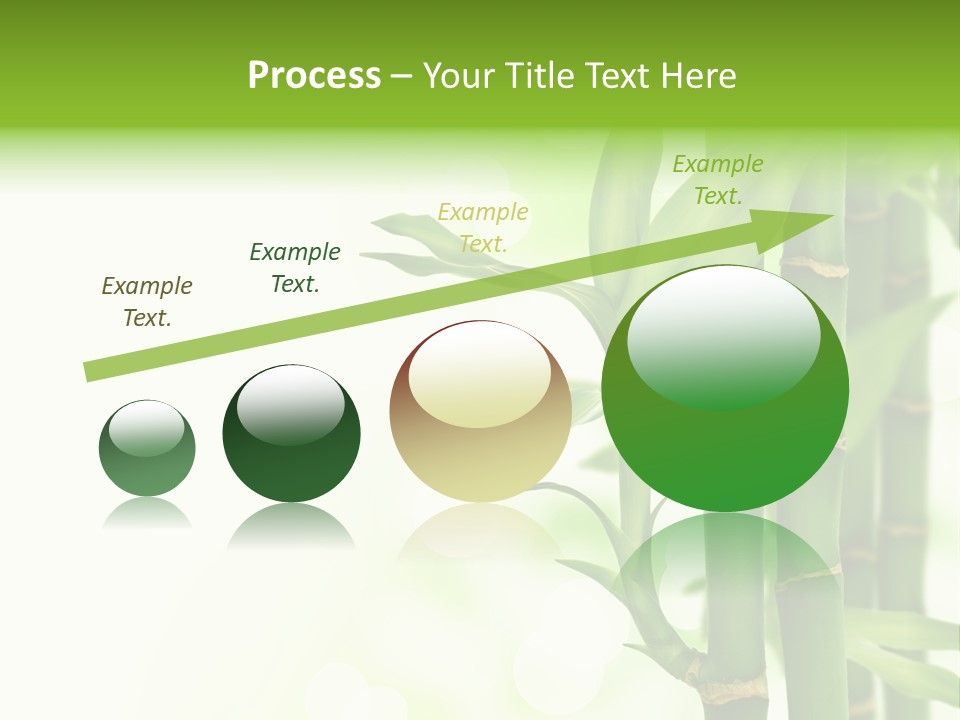 Japanese Asia Tree PowerPoint Template