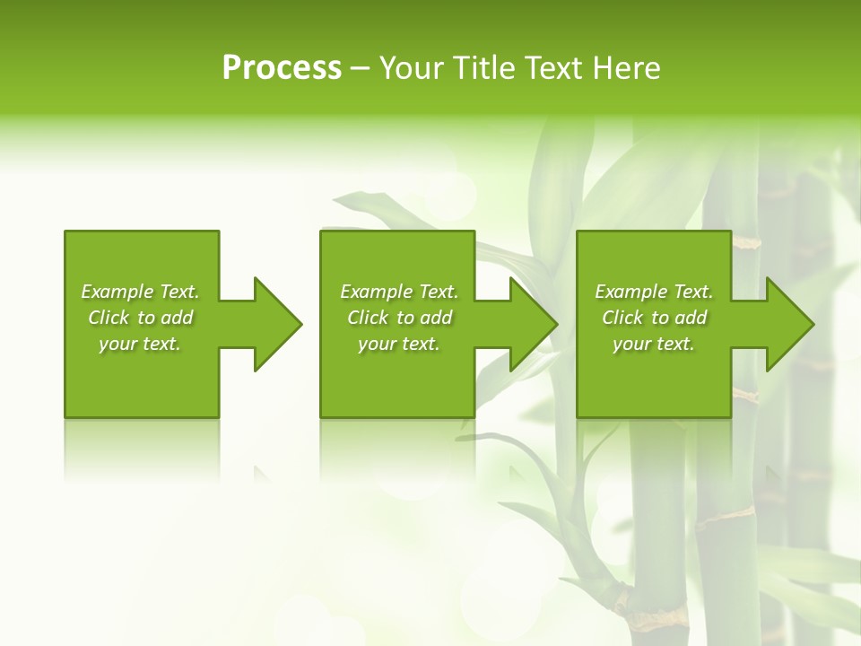 Japanese Asia Tree PowerPoint Template