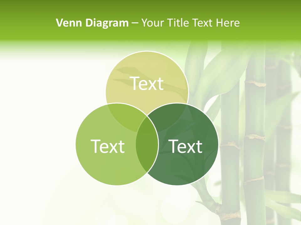 Japanese Asia Tree PowerPoint Template