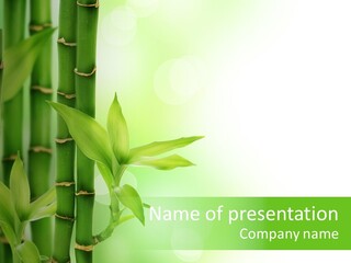 Environment Gardening Asia PowerPoint Template