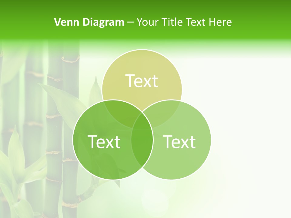 Environment Gardening Asia PowerPoint Template