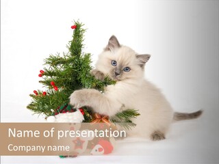 Energetic Miniature Cute PowerPoint Template