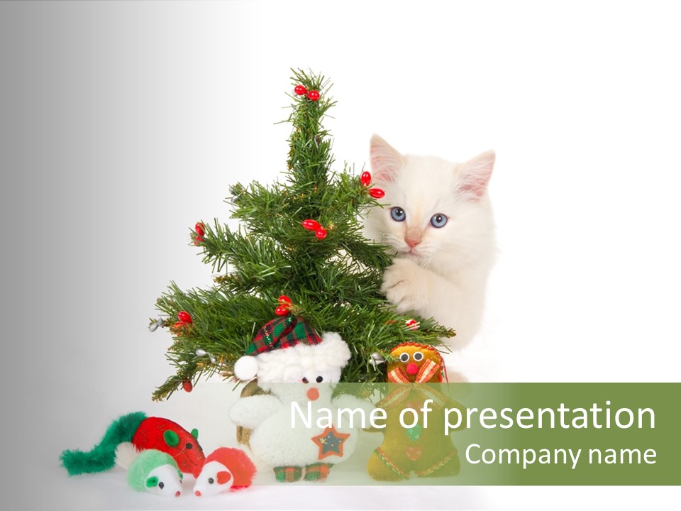 Snow Cats Tree PowerPoint Template