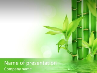 Vibrant Blur Growth PowerPoint Template