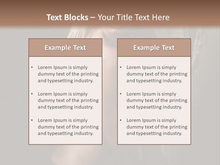 Direction Paint Gardening PowerPoint Template