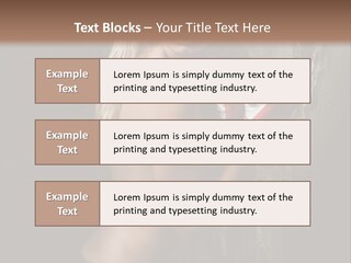 Direction Paint Gardening PowerPoint Template