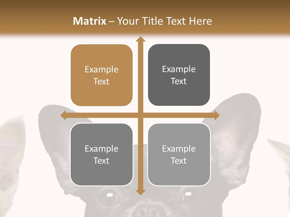 Indoors Pedigreed Studio PowerPoint Template